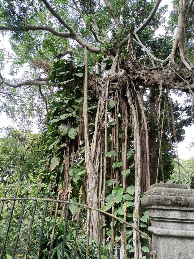 IMG_20210415_110913_Burst01